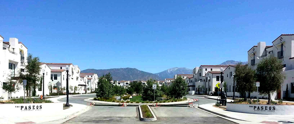 The Paseos